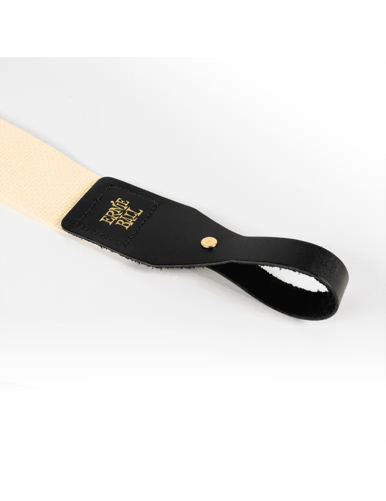 ERNIE BALL 5368 | MusicGoodDeal