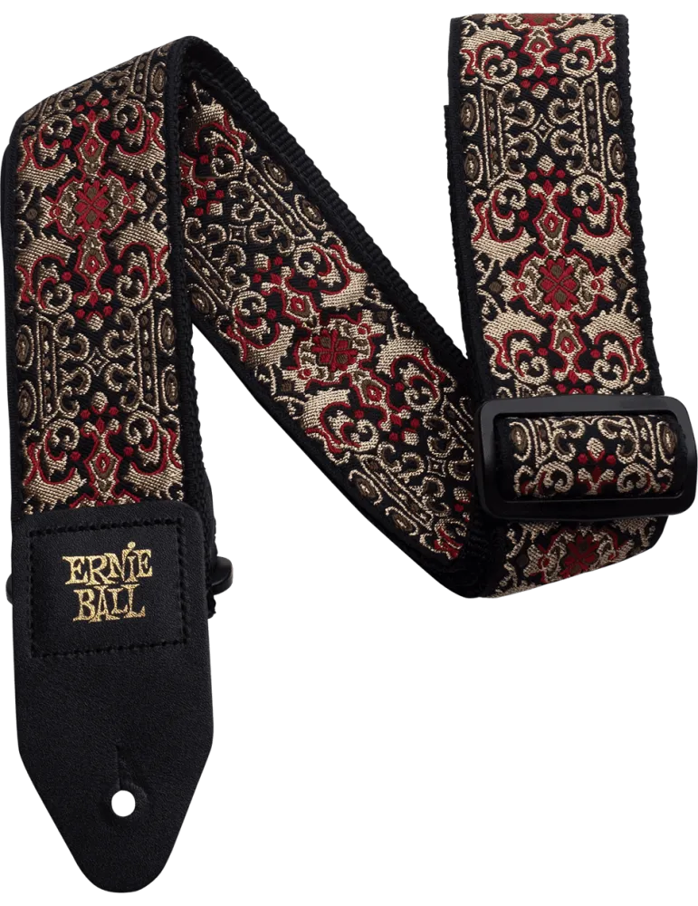 ERNIE BALL 4167 | MusicGoodDeal