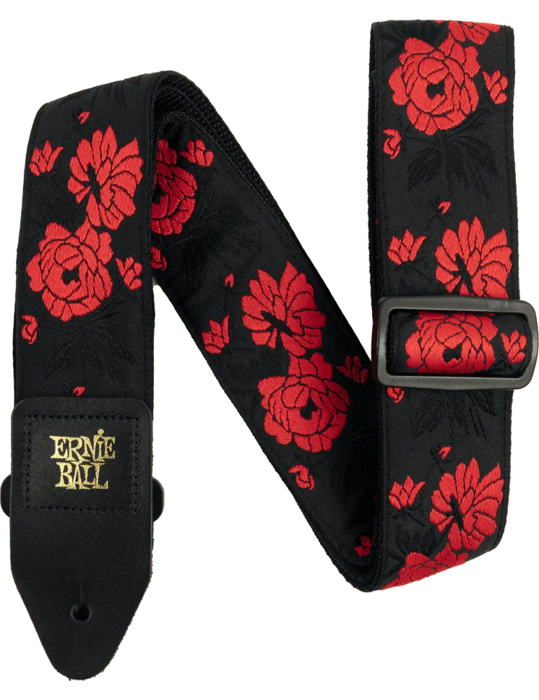 ERNIE BALL 5335 | MusicGoodDeal