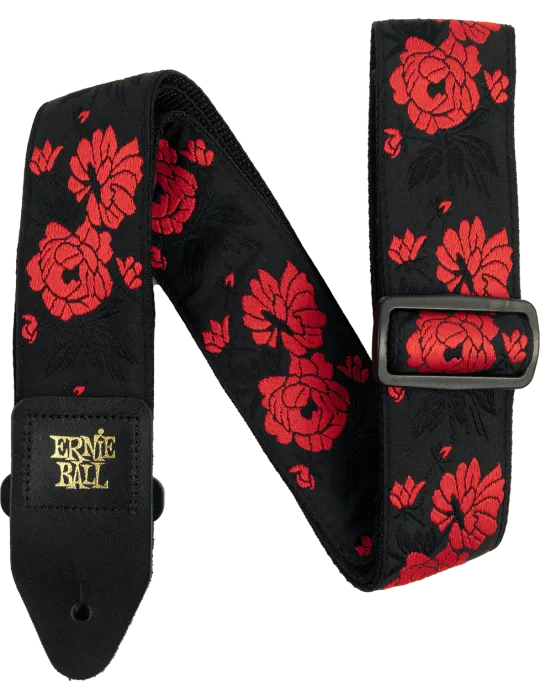 ERNIE BALL 5335 | MusicGoodDeal