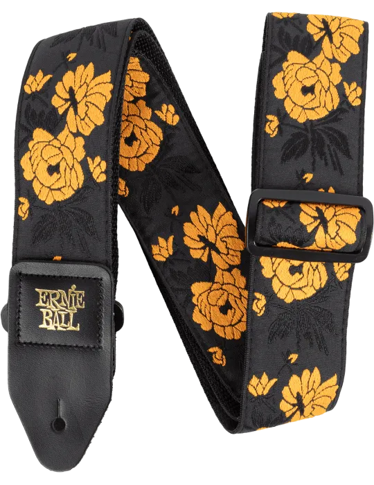 ERNIE BALL 5358 | MusicGoodDeal