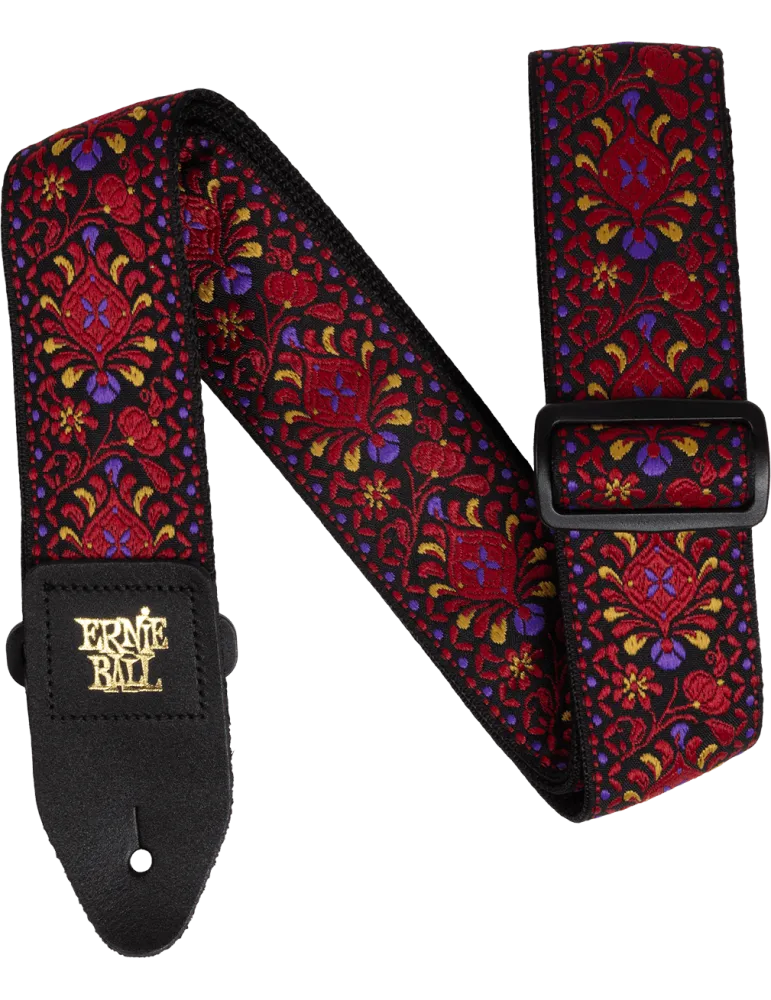 ERNIE BALL 5369 | MusicGoodDeal