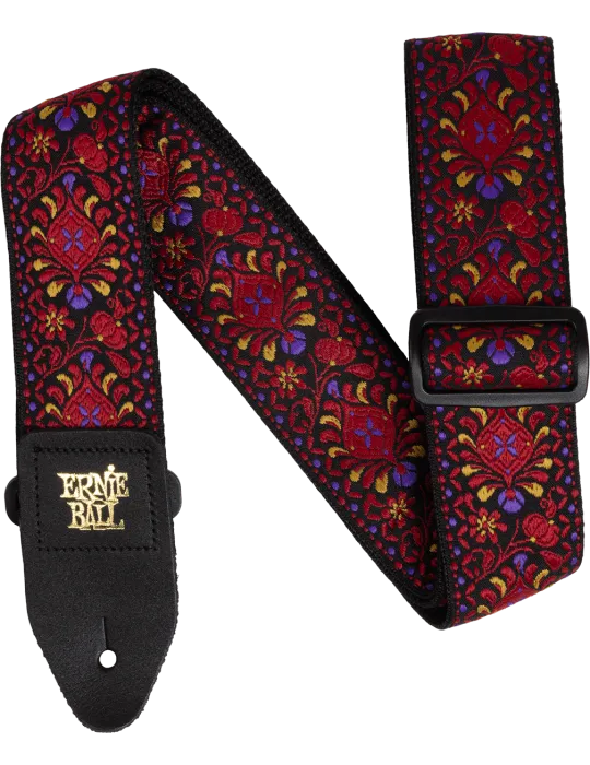 ERNIE BALL 5369 | MusicGoodDeal