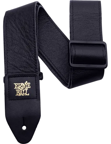 ERNIE BALL 4134 | MusicGoodDeal