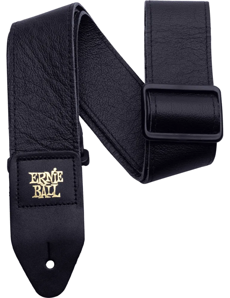 ERNIE BALL 4134 | MusicGoodDeal