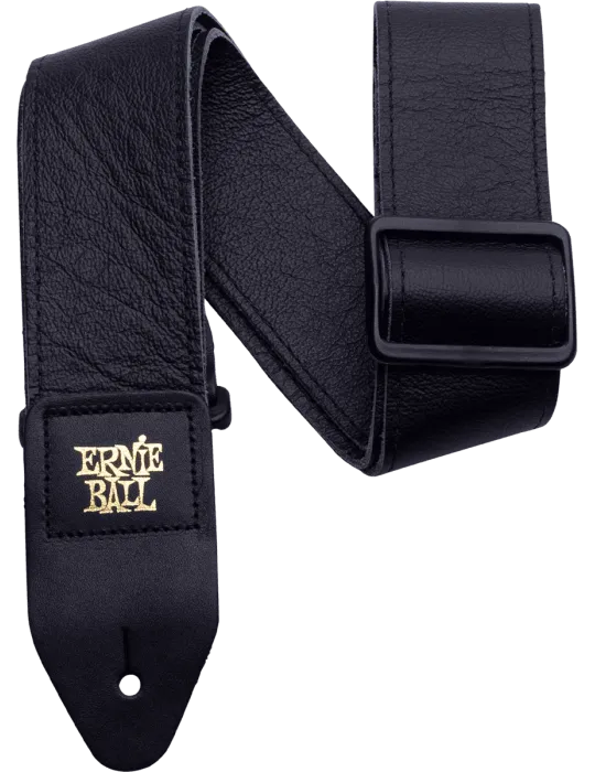 ERNIE BALL 4134 | MusicGoodDeal