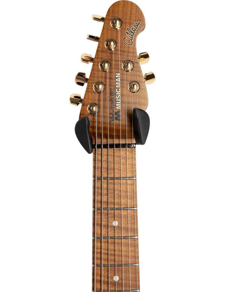 ERNIE BALL 9619 | MusicGoodDeal