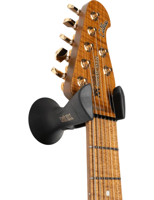ERNIE BALL 9619 | MusicGoodDeal