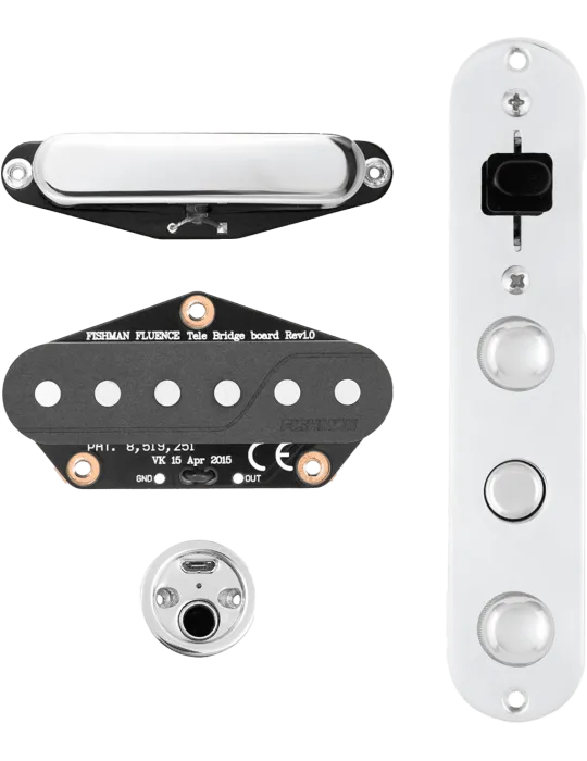 FISHMAN PRF-TEL-GK1 | MusicGoodDeal