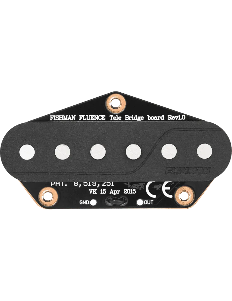 FISHMAN PRF-TEL-GK1 | MusicGoodDeal