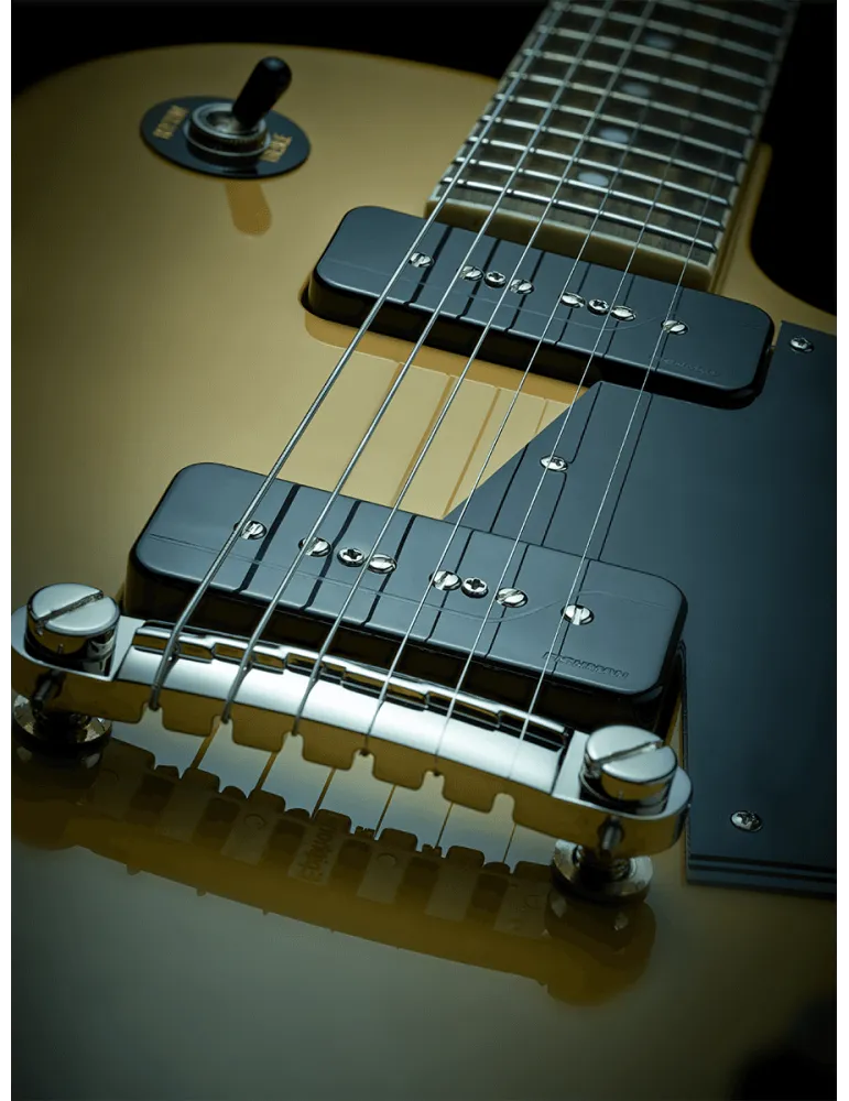 FISHMAN PRF-P9S-GK2 | MusicGoodDeal