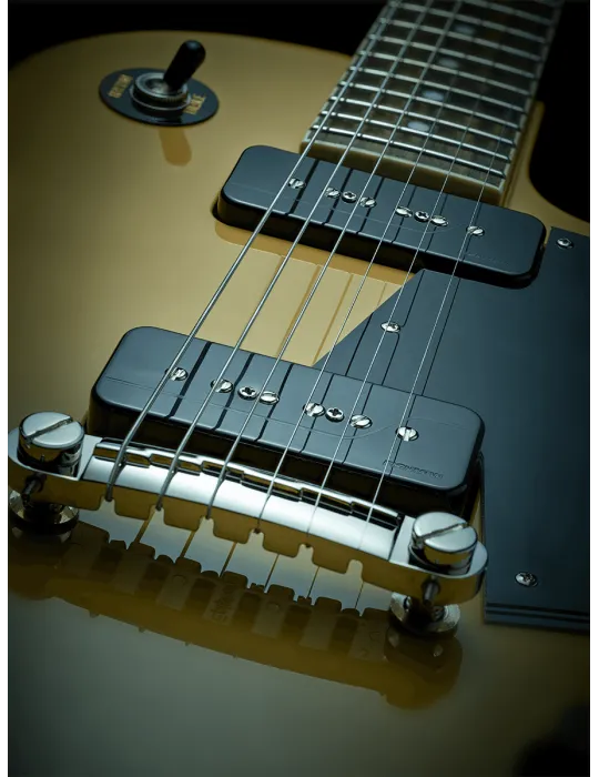 FISHMAN PRF-P9S-GK2 | MusicGoodDeal