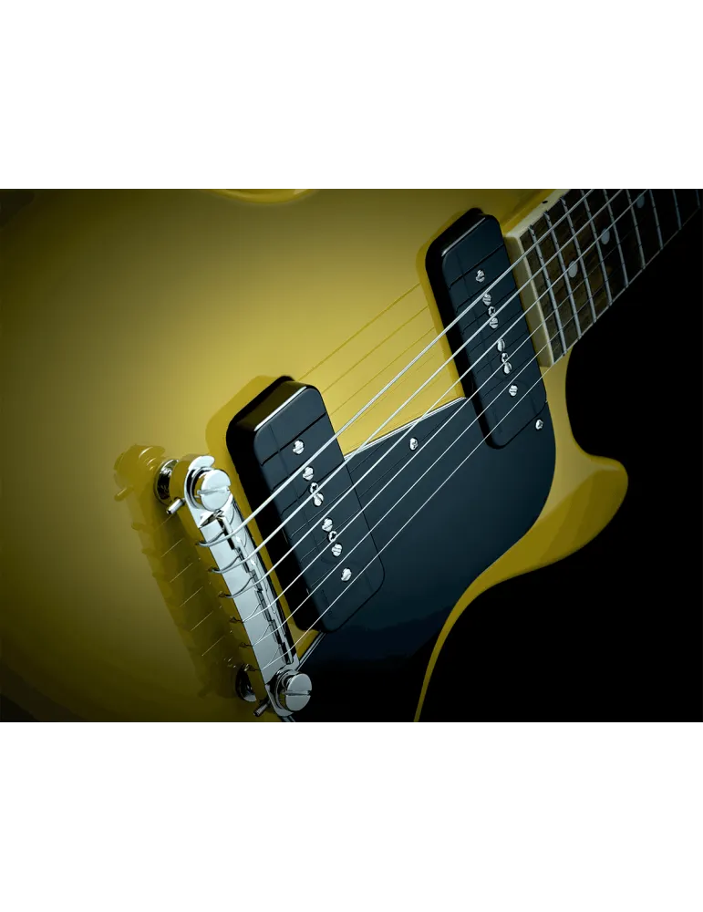 FISHMAN PRF-P9S-GK2 | MusicGoodDeal