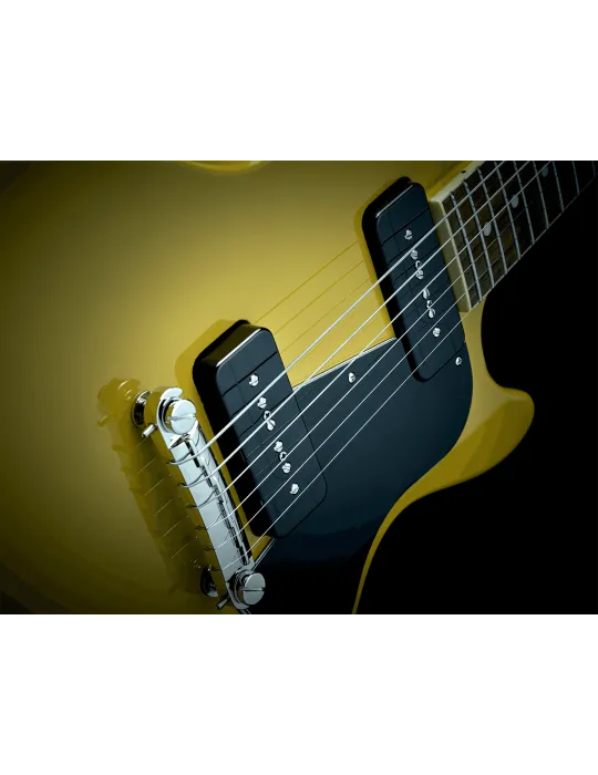 FISHMAN PRF-P9S-GK2 | MusicGoodDeal