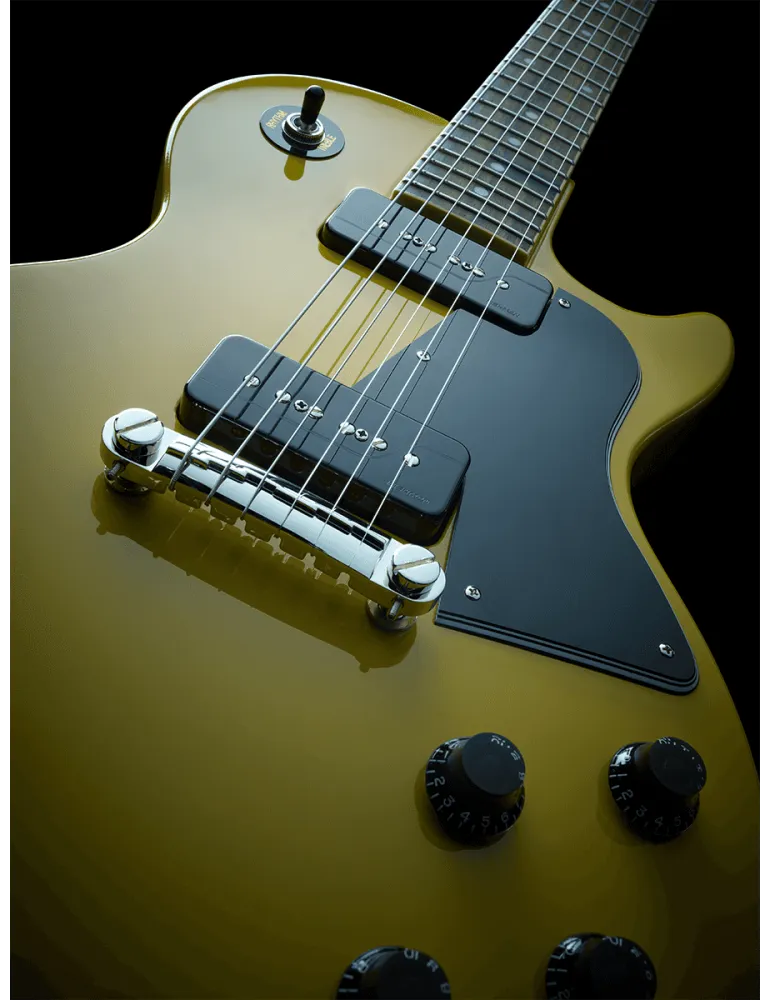 FISHMAN PRF-P9S-GK2 | MusicGoodDeal