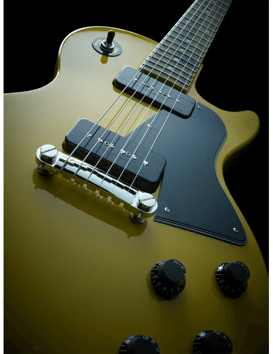FISHMAN PRF-P9S-GK2 | MusicGoodDeal