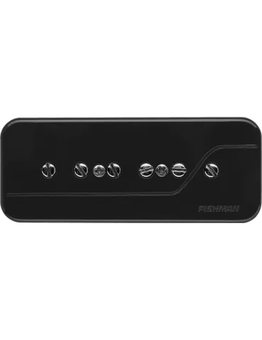 FISHMAN PRF-P9S-BB1 | MusicGoodDeal 2