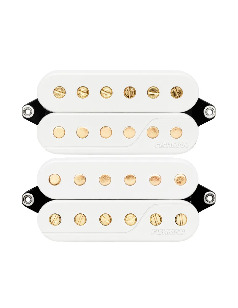 FISHMAN PRF-CC6-LW2 | MusicGoodDeal