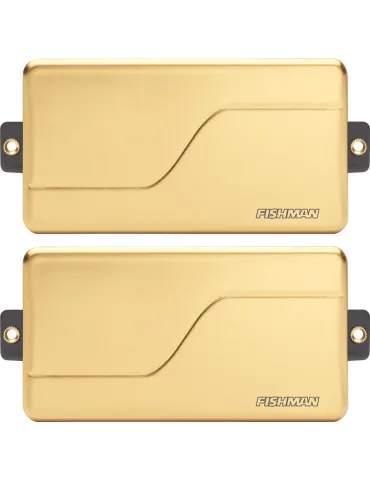 FISHMAN PRF-M36-SG2 | MusicGoodDeal 2