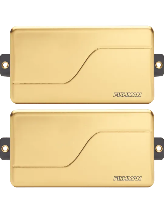 FISHMAN PRF-M36-SG2 | MusicGoodDeal