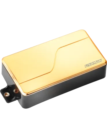 FISHMAN PRF-M36-CG1 | MusicGoodDeal