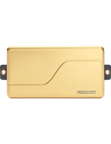FISHMAN PRF-M36-CG1 | MusicGoodDeal 2