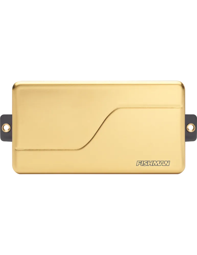 FISHMAN PRF-M36-CG1 | MusicGoodDeal