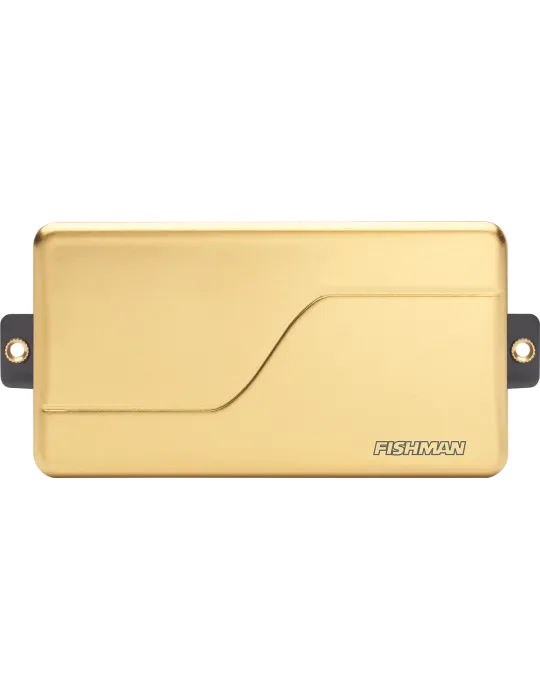 FISHMAN PRF-M36-CG1 | MusicGoodDeal