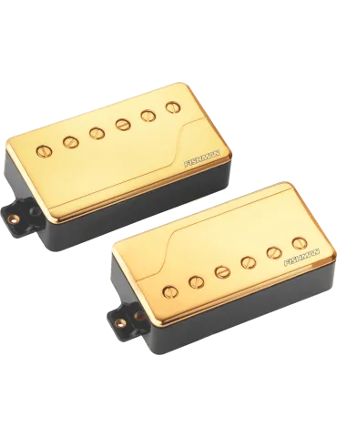 FISHMAN PRF-CHB-SG2 | MusicGoodDeal