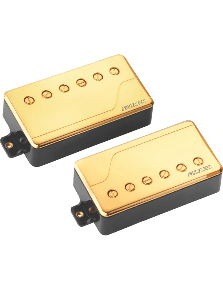 FISHMAN PRF-CHB-SG2 | MusicGoodDeal