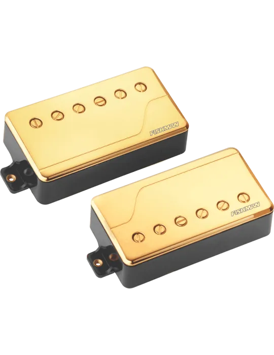 FISHMAN PRF-CHB-SG2 | MusicGoodDeal