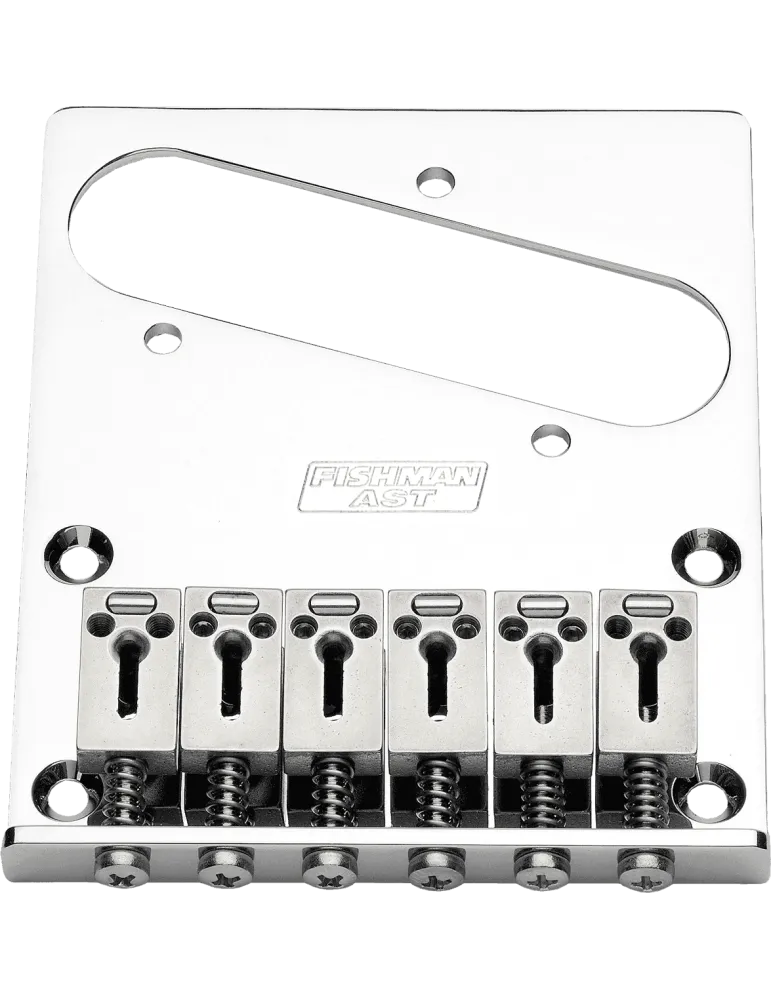 FISHMAN PRO-AST-101 | MusicGoodDeal