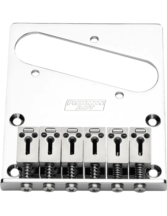 FISHMAN PRO-AST-101 | MusicGoodDeal