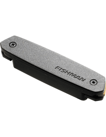 FISHMAN PRO-NEO-D02 | MusicGoodDeal