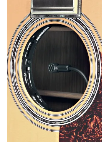FISHMAN PRO-MAT-EL2 | MusicGoodDeal 2