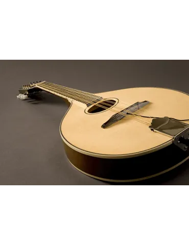 FISHMAN PRO-M40-0MA | MusicGoodDeal 2