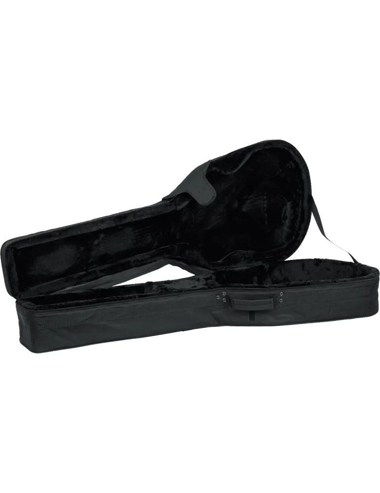GATOR CASES GL-AC-BASS | MusicGoodDeal