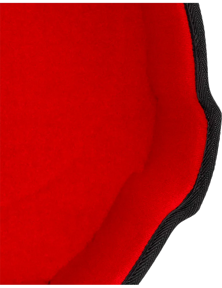 ec4c2a3a2f9faa17a436ce033c82c7e