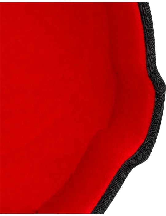 ec4c2a3a2f9faa17a436ce033c82c7e