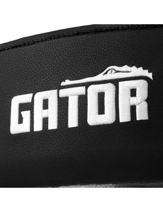 GATOR CASES GP-DTH-ASD-BK | MusicGoodDeal