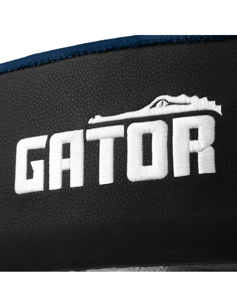 GATOR CASES GP-DTH-ASD-BL | MusicGoodDeal