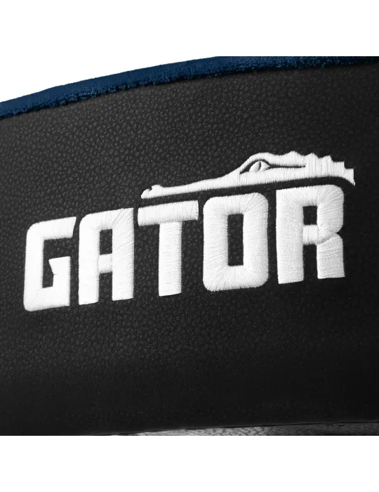 GATOR CASES GP-DTH-ASD-BL | MusicGoodDeal