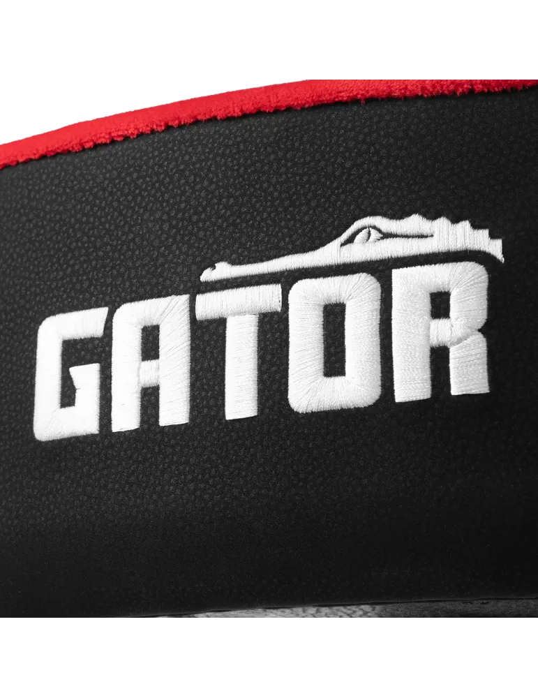 GATOR CASES GP-DTH-ASD-RD | MusicGoodDeal