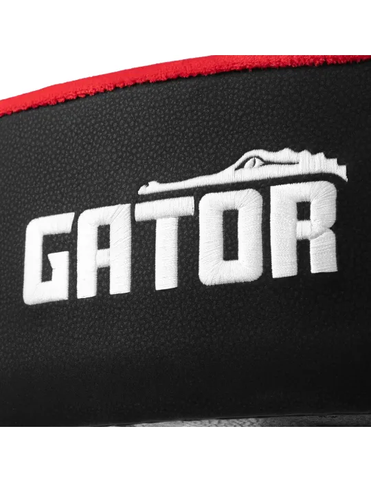 GATOR CASES GP-DTH-ASD-RD | MusicGoodDeal