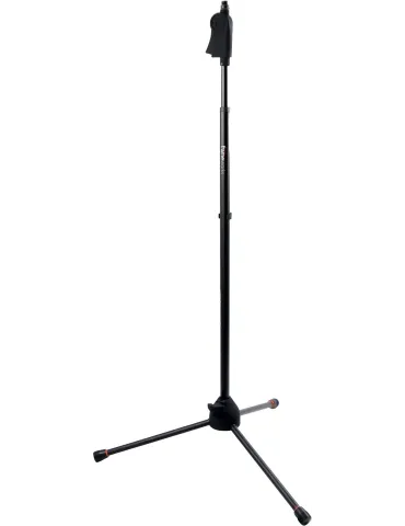 FRAMEWORKS GFW-MIC-2100 | MusicGoodDeal