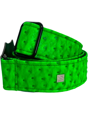 GET M GET M OSTRICH-NEON-GREEN | MusicGoodDeal