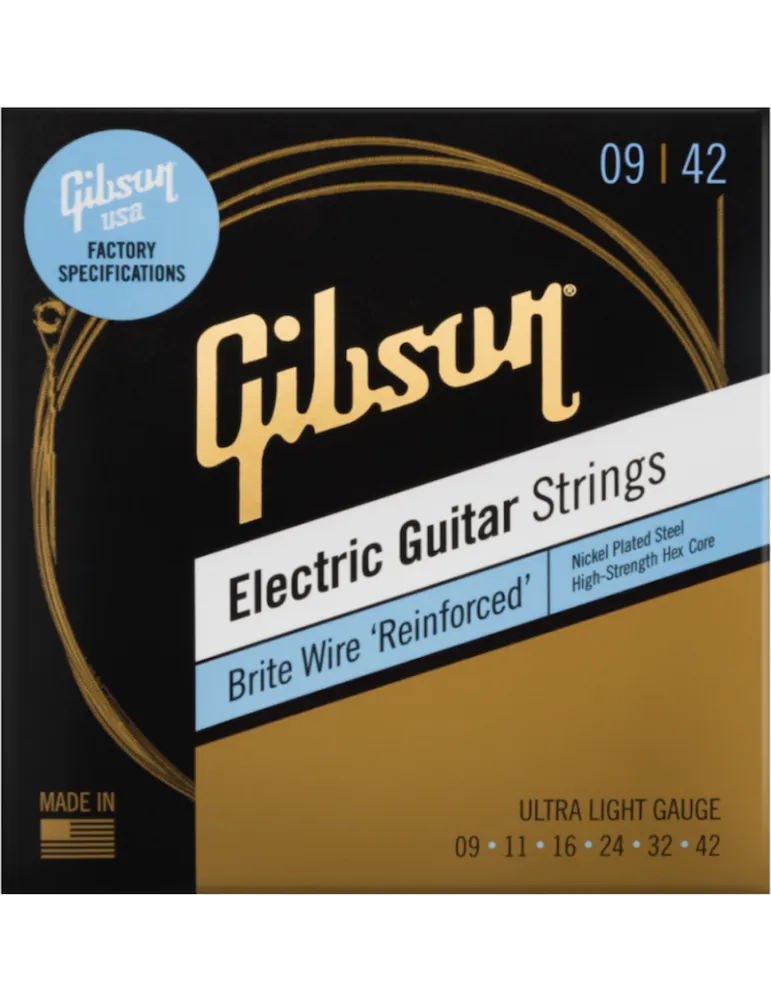 GIBSON ACCESSORIES SEG-BWR9 | MusicGoodDeal