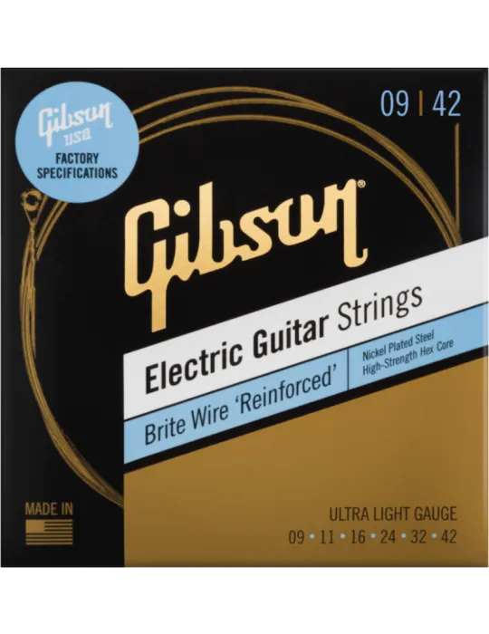 GIBSON ACCESSORIES SEG-BWR9 | MusicGoodDeal