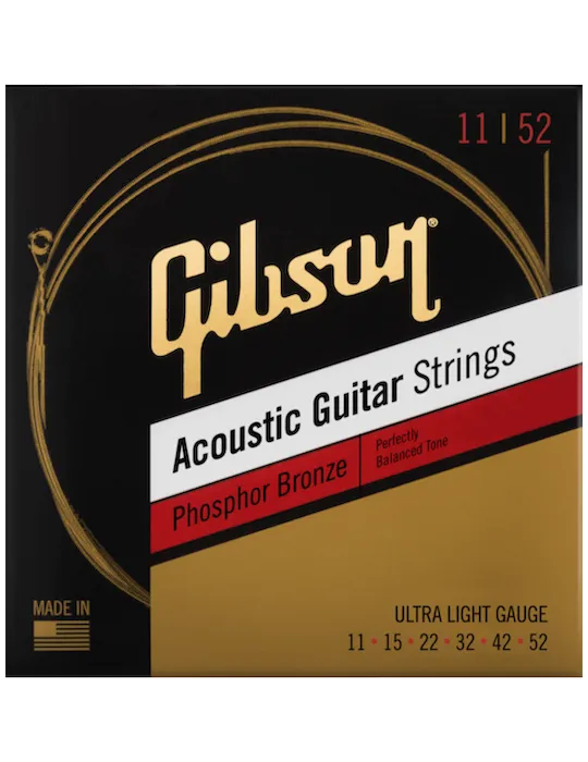 GIBSON ACCESSORIES SAG-PB11 | MusicGoodDeal