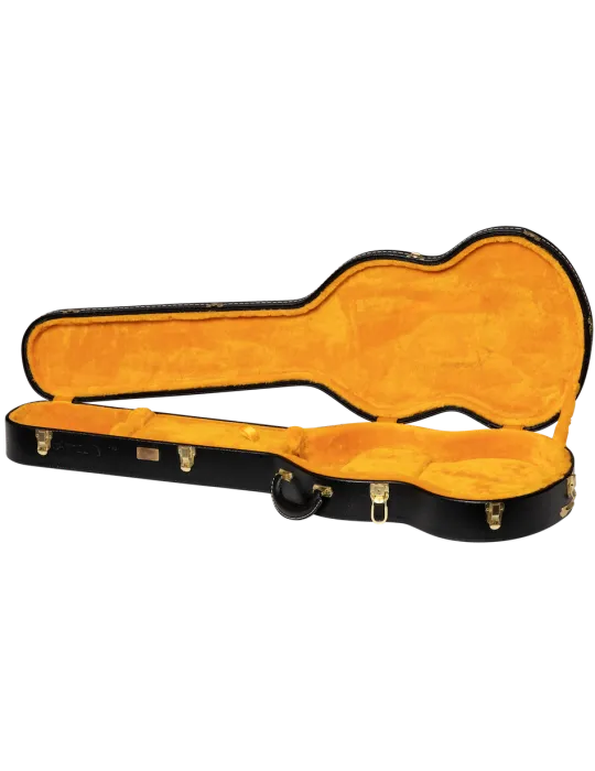 GIBSON ACCESSORIES ASLFTCASE-PB-SG | MusicGoodDeal